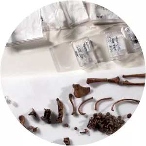 Ben Franklin's Bones