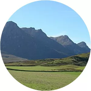 Ben Loyal