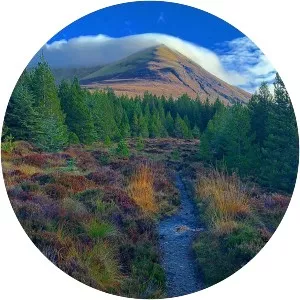 Ben Wyvis - Glas Leathad Mor