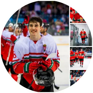 Bence Stipsicz - Ice hockey player