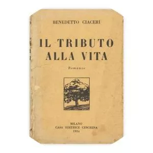 Benedetto Ciaceri - Journalist