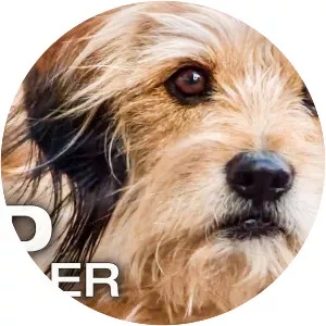 young hustle benji - Musical artist