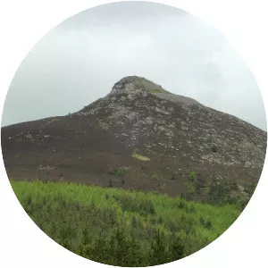Bennachie - 