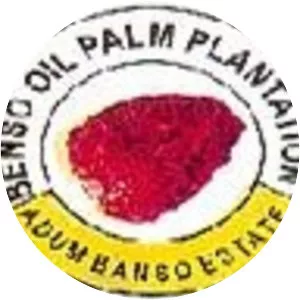 Benso Oil Palm Plantation