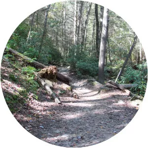 Benton MacKaye Trail photograph