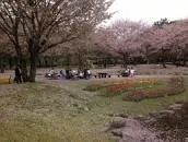 Beppu Park - 