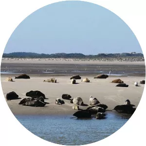 Berck - Commune in France