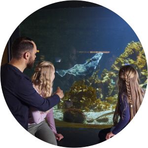 Bergen Aquarium