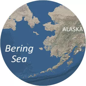 Bering Sea - 