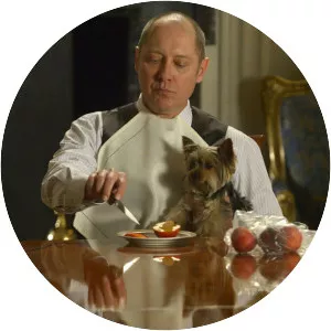 Berlin Conclusion photograph