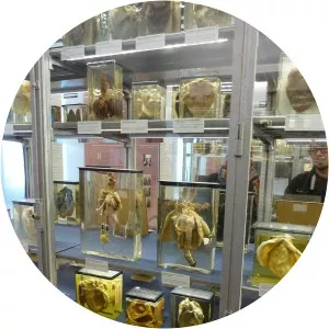 Berlin Museum of Medical History of the Charité