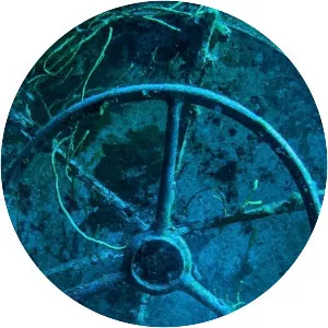 Bermuda Triangle: The New Secrets - TV program