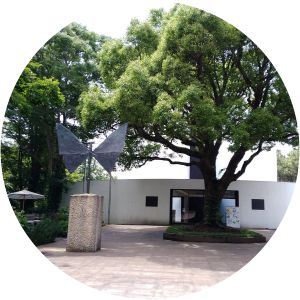 Bernard Buffet Museum Nagaizumi