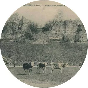 Bernard de Neufmarché