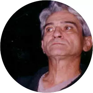 Bernard Meulien - Musical artist