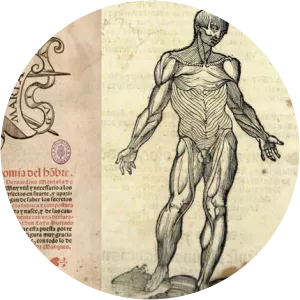 Bernardino Montaña de Monserrate