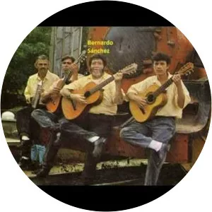 Bernardo Sanchez - Musical artist