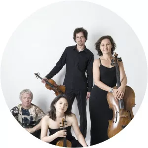 Bernie Mallinger Musician