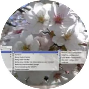 Berry Linux - Operating system