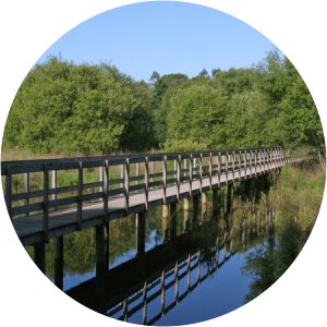 Bertiandos and São Pedro de Arcos Lagoons Protected Landscape - 