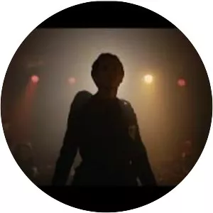 Bertrand Lajudie - Musical artist