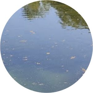 Beryozovye Islands - Island group in Russia