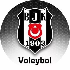 Beşiktaş JK (Beşiktaş (kadın voleybol takımı))