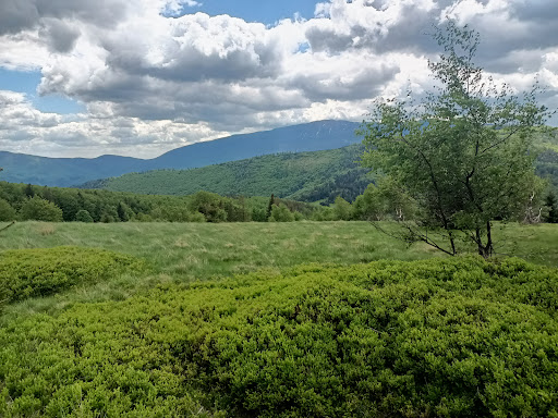 Beskidek - Scenic spot in Koszarawa, Poland