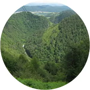 Besnica - Stream in Slovenia