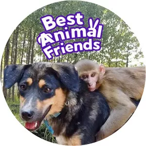 Best Animal Friends - TV program