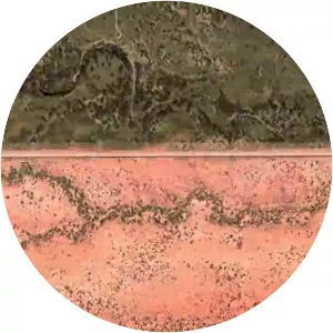 Best of Luck with the Wall