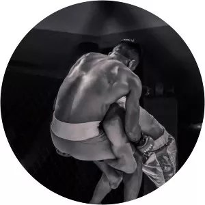 Best of UFC 2011Since 2012