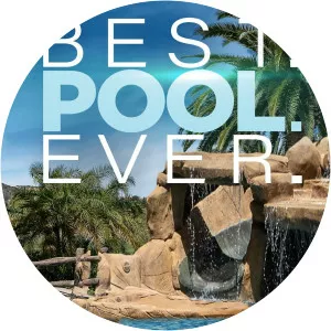 Best. Pool. Ever.Since 2019