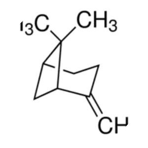 beta-Pinene - Chemical compound