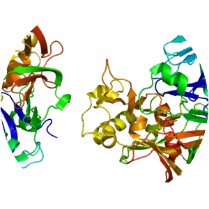 Beta-secretase 1