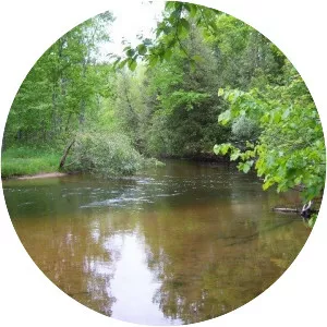 Betsie River - Stream in Michigan
