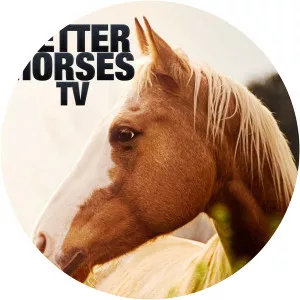 Better Horses TVSince 2020