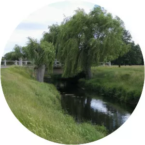 Beverley Brook - River in England