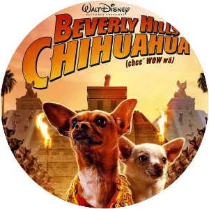 Beverly Hills Chihuahua photograph