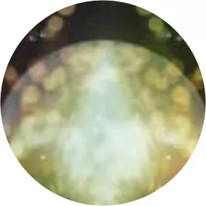 Beyond Reality photograph