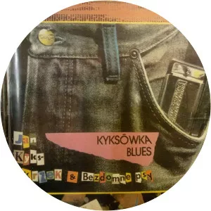 Bezdomne Psy - Musical group