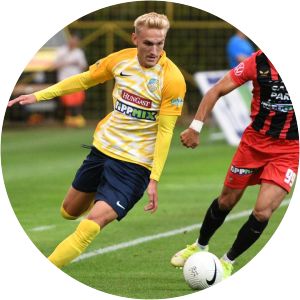 BFC Siofok photograph