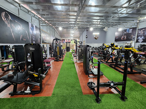 BG FITNESS - Gym in Vietnam