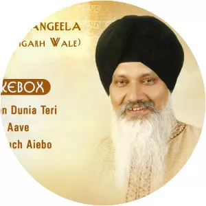 Bhai Balwinder S.Rangila - Musical artist