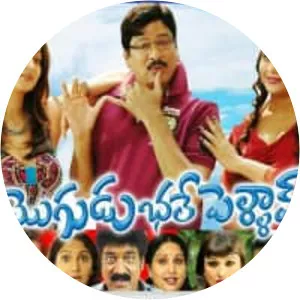 Bhale Mogudu Bhale Pellam