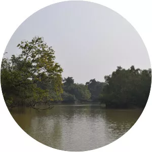 Bhitarkanika - 