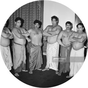 Bholu Brothers - Wrestler