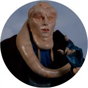 Bib Fortuna