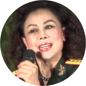 Bích Việt - Musical artist