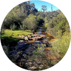 Bickley Brook Reservoir